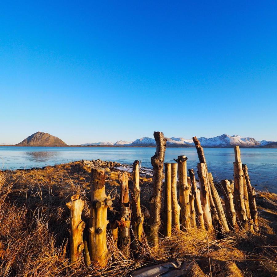 Eagle View Lofoten Bostad ภายนอก รูปภาพ
